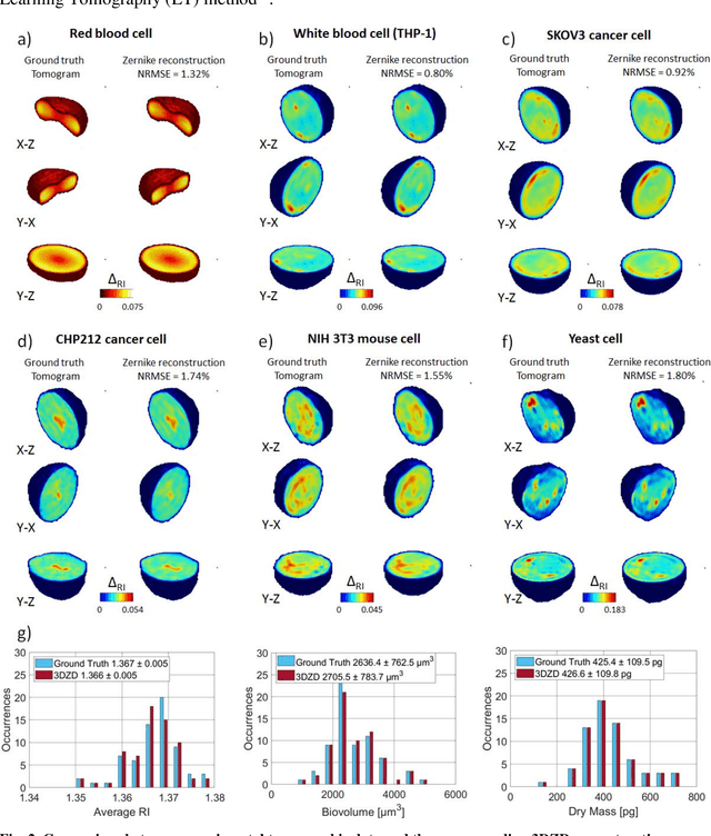 Figure 3 for Single-cell phase-contrast tomograms data encoded by 3D Zernike descriptors