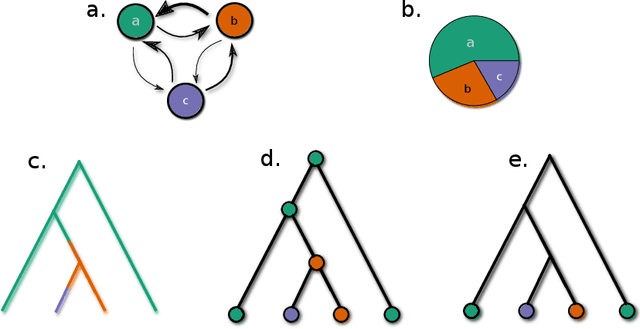 Figure 2 for Phylogenetic typology