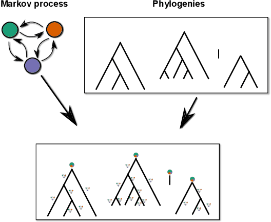 Figure 3 for Phylogenetic typology