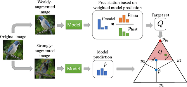 Figure 1 for Credal Self-Supervised Learning