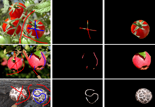 Figure 4 for Convex Shape Representation with Binary Labels for Image Segmentation: Models and Fast Algorithms