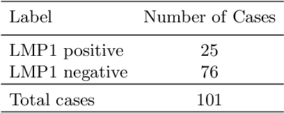 Figure 1 for Multi-Scale Attention-based Multiple Instance Learning for Classification of Multi-Gigapixel Histology Images