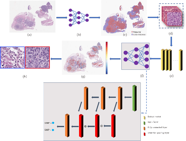 Figure 2 for Multi-Scale Attention-based Multiple Instance Learning for Classification of Multi-Gigapixel Histology Images