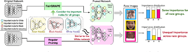 Figure 1 for FairGRAPE: Fairness-aware GRAdient Pruning mEthod for Face Attribute Classification