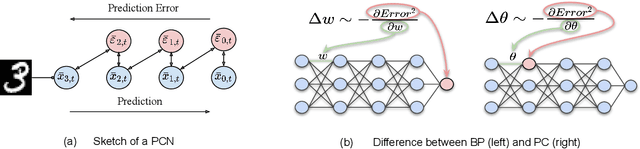 Figure 1 for Predictive Coding: Towards a Future of Deep Learning beyond Backpropagation?