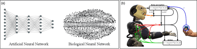 Figure 4 for Predictive Coding: Towards a Future of Deep Learning beyond Backpropagation?
