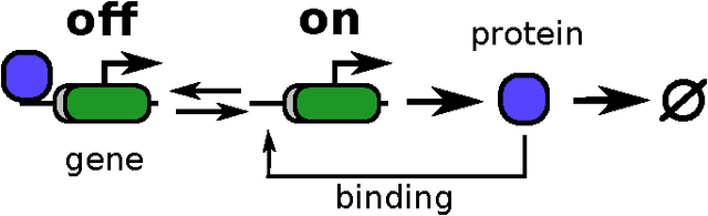 Figure 3 for Approximation and inference methods for stochastic biochemical kinetics - a tutorial review