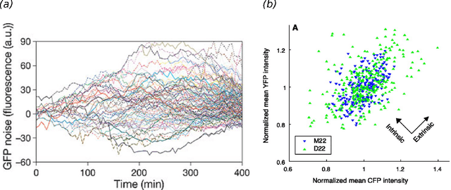 Figure 2 for Approximation and inference methods for stochastic biochemical kinetics - a tutorial review