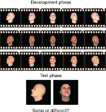 Figure 1 for Approximate Hubel-Wiesel Modules and the Data Structures of Neural Computation