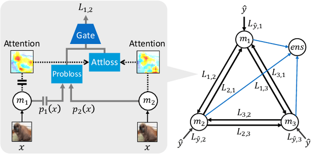 Figure 1 for Deep Ensemble Collaborative Learning by using Knowledge-transfer Graph for Fine-grained Object Classification