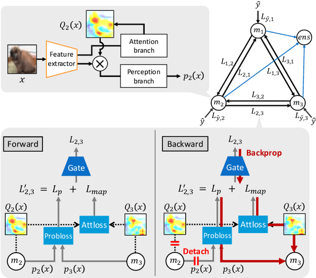 Figure 3 for Deep Ensemble Collaborative Learning by using Knowledge-transfer Graph for Fine-grained Object Classification