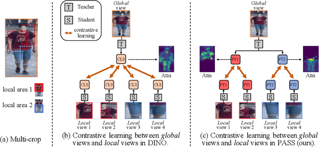 Figure 1 for Part-Aware Self-Supervised Pre-Training for Person Re-Identification