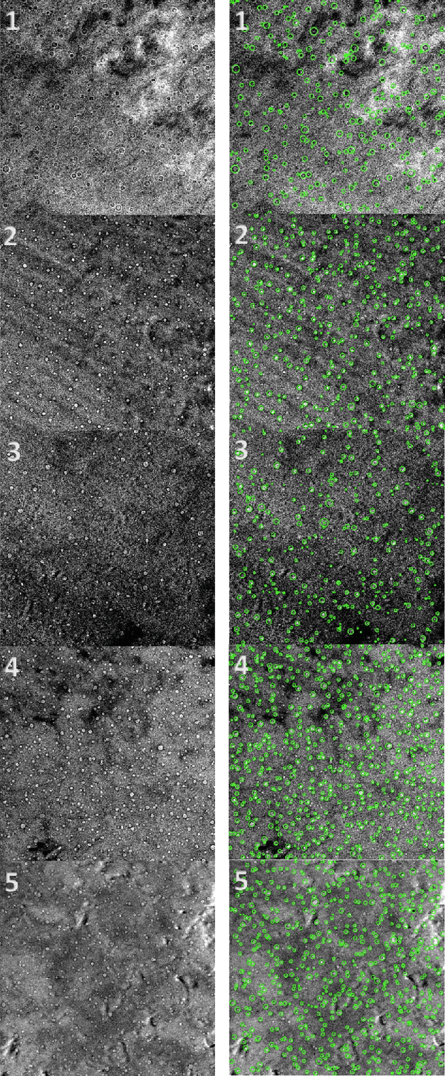 Figure 1 for Automated Classification of Helium Ingress in Irradiated X-750