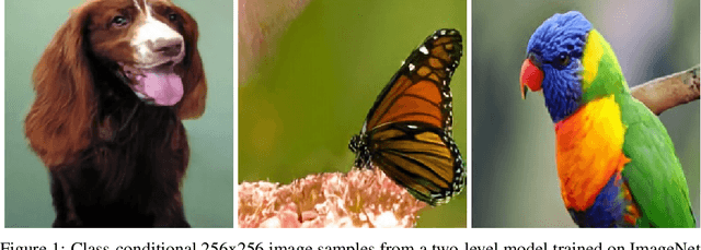 Figure 1 for Generating Diverse High-Fidelity Images with VQ-VAE-2