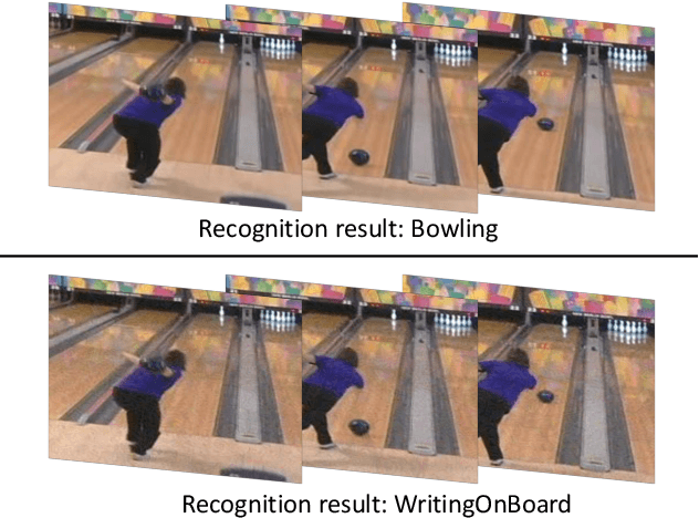 Figure 1 for Heuristic Black-box Adversarial Attacks on Video Recognition Models