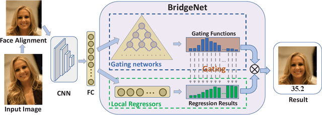 Figure 3 for BridgeNet: A Continuity-Aware Probabilistic Network for Age Estimation
