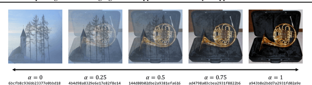 Figure 2 for Exploiting and Defending Against the Approximate Linearity of Apple's NeuralHash