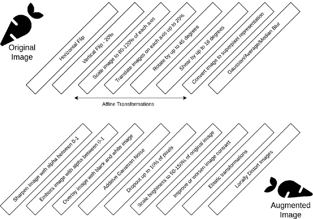 Figure 1 for Image augmentation improves few-shot classification performance in plant disease recognition