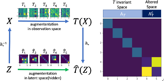 Figure 3 for Invariance-adapted decomposition and Lasso-type contrastive learning