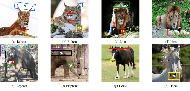 Figure 1 for PACE: Posthoc Architecture-Agnostic Concept Extractor for Explaining CNNs