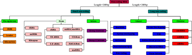 Figure 1 for A Robust and Precise ConvNet for small non-coding RNA classification (RPC-snRC)