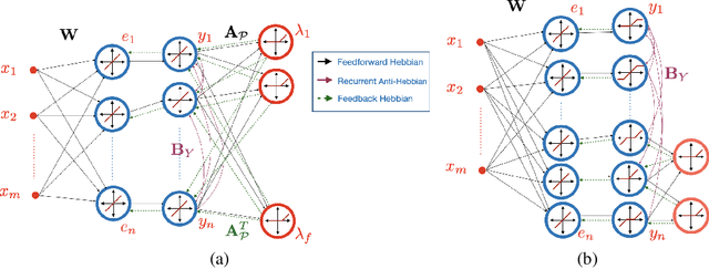 Figure 1 for Correlative Information Maximization Based Biologically Plausible Neural Networks for Correlated Source Separation