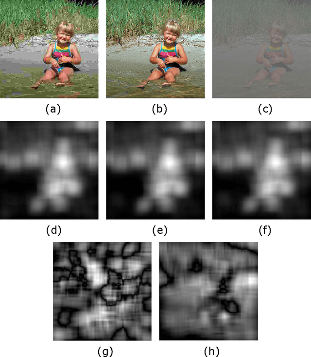 Figure 1 for Full-reference image quality assessment by combining global and local distortion measures