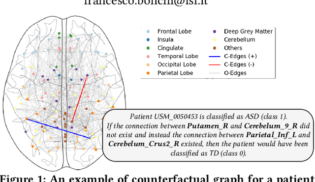 Figure 1 for Counterfactual Graphs for Explainable Classification of Brain Networks