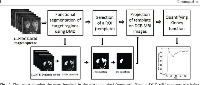 Figure 3 for Functional Segmentation through Dynamic Mode Decomposition: Automatic Quantification of Kidney Function in DCE-MRI Images