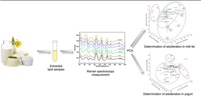 Figure 1 for A review of artificial intelligence methods combined with Raman spectroscopy to identify the composition of substances