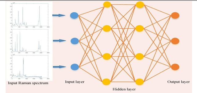 Figure 3 for A review of artificial intelligence methods combined with Raman spectroscopy to identify the composition of substances
