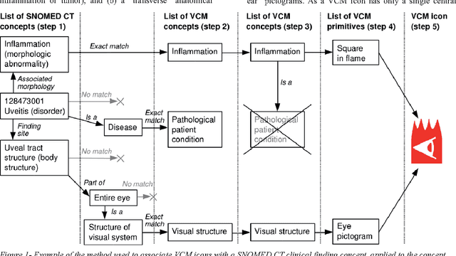 Figure 1 for A semi-automatic semantic method for mapping SNOMED CT concepts to VCM Icons