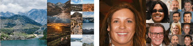 Figure 1 for Towards Faster and Stabilized GAN Training for High-fidelity Few-shot Image Synthesis