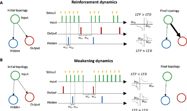 Figure 3 for Reactive, Proactive, and Inductive Agents: An evolutionary path for biological and artificial spiking networks