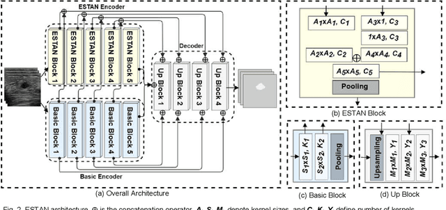 Figure 2 for ESTAN: Enhanced Small Tumor-Aware Network for Breast Ultrasound Image Segmentation