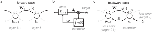 Figure 1 for Biological credit assignment through dynamic inversion of feedforward networks