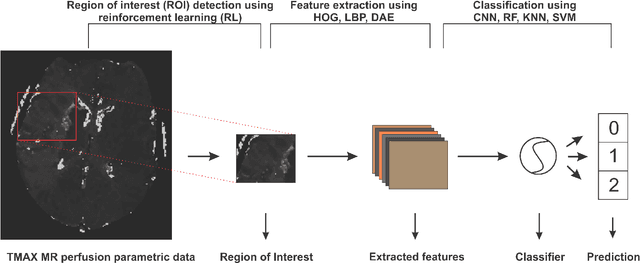 Figure 1 for A Deep Learning Approach to Predicting Collateral Flow in Stroke Patients Using Radiomic Features from Perfusion Images