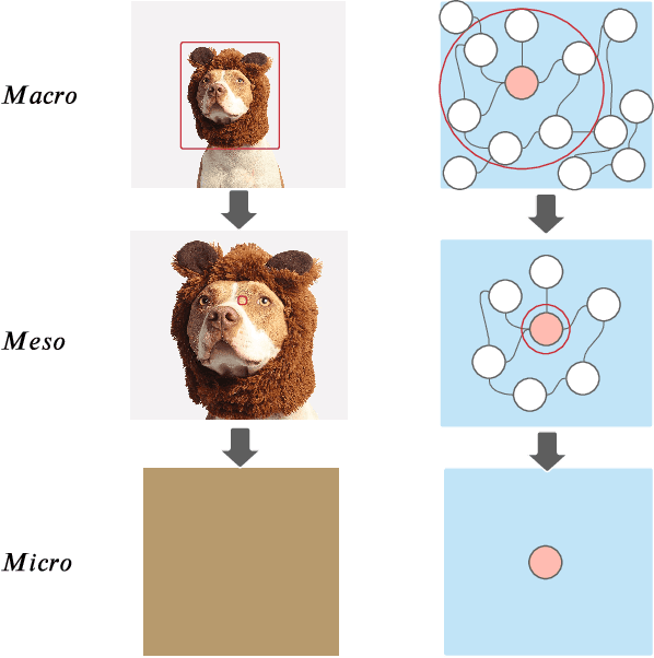 Figure 1 for Towards Graph Self-Supervised Learning with Contrastive Adjusted Zooming