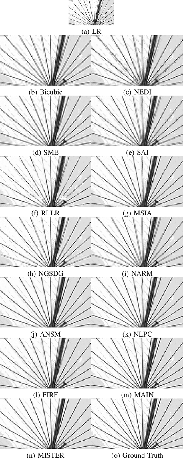 Figure 2 for Manifold-Inspired Single Image Interpolation