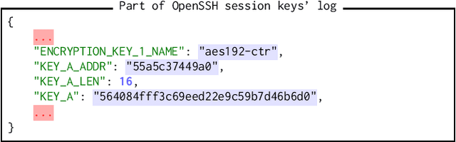 Figure 1 for SmartKex: Machine Learning Assisted SSH Keys Extraction From The Heap Dump