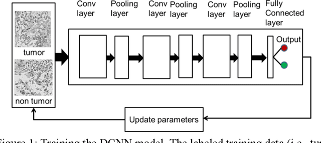 Figure 1 for Accurate Tumor Tissue Region Detection with Accelerated Deep Convolutional Neural Networks