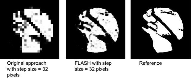 Figure 3 for Accurate Tumor Tissue Region Detection with Accelerated Deep Convolutional Neural Networks