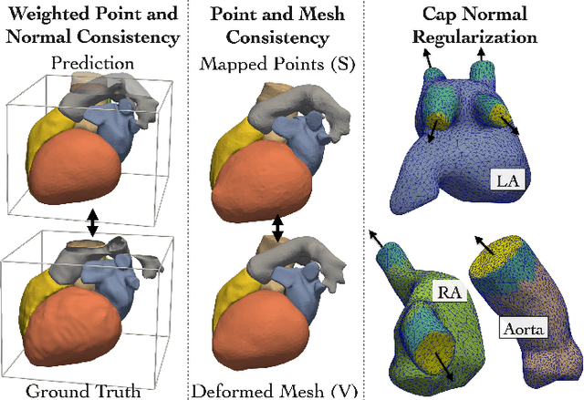 Figure 3 for Learning Whole Heart Mesh Generation From Patient Images For Computational Simulations