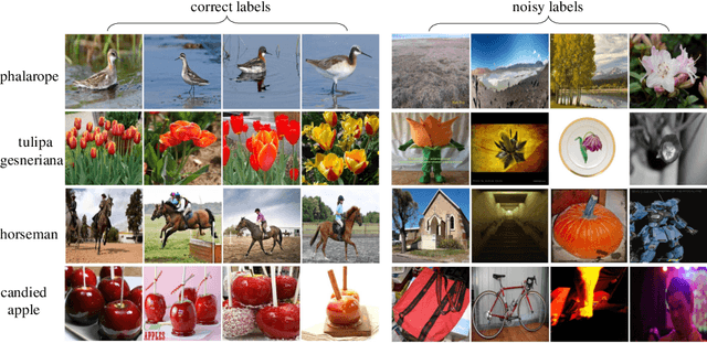 Figure 1 for Weakly Supervised Learning with Side Information for Noisy Labeled Images
