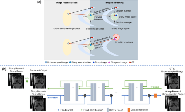 Figure 1 for Invertible Sharpening Network for MRI Reconstruction Enhancement