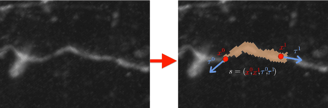 Figure 2 for Hidden Markov Modeling for Maximum Likelihood Neuron Reconstruction