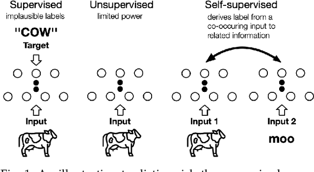 Figure 1 for Self-supervised Learning: Generative or Contrastive