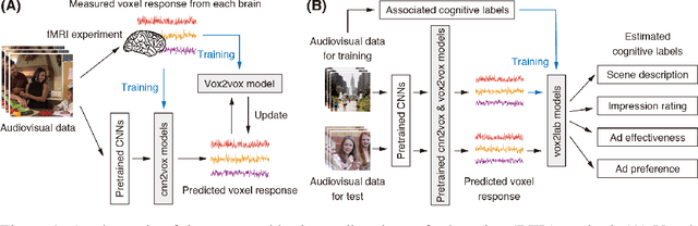 Figure 1 for Brain-mediated Transfer Learning of Convolutional Neural Networks