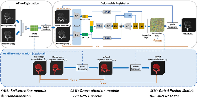 Figure 1 for ACSGRegNet: A Deep Learning-based Framework for Unsupervised Joint Affine and Diffeomorphic Registration of Lumbar Spine CT via Cross- and Self-Attention Fusion