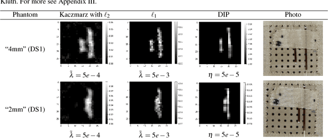 Figure 4 for Regularization by architecture: A deep prior approach for inverse problems